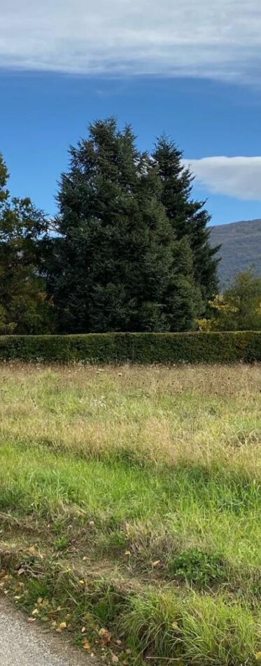 Terrains constructibles – JAILLANS – LE CHAMP DE L’OR