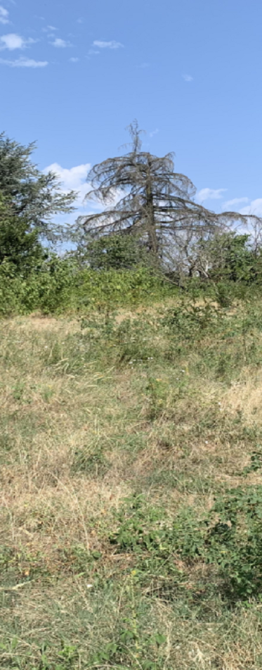 Terrains constructibles – SAINT MARCEL LES VALENCE – LE DOMAINE DE SUREL