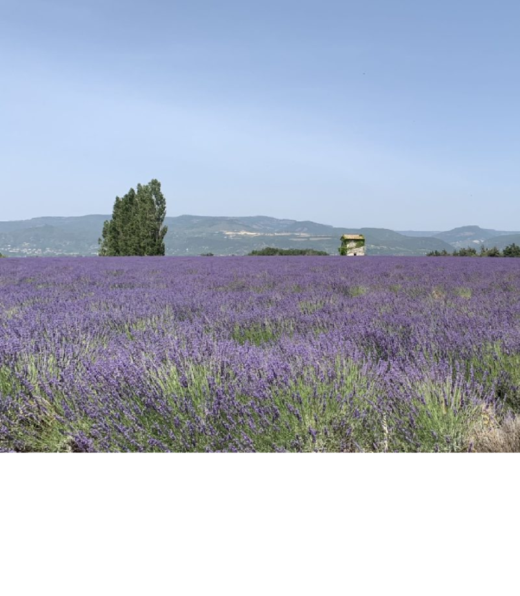 Terrains constructibles – MONTELIMAR – PARC DES LOGES